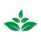 Eco-Friendly Choice: Reduce e-waste and carbon footprint by using certified refurbished devices